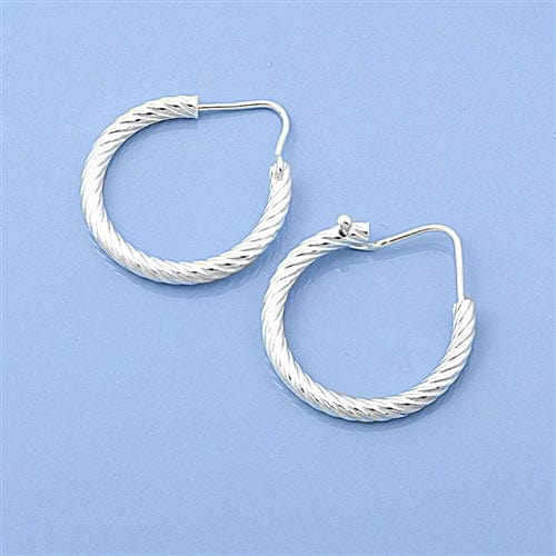 Prickly Cactus Earrings Twisted Hoop Earrings Product Tag