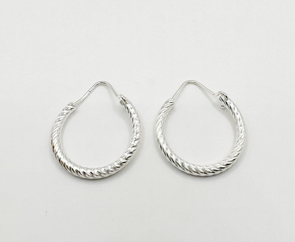 Prickly Cactus Earrings Twisted Hoop Earrings Product Tag