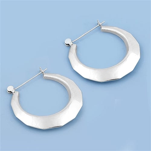 Prickly Cactus Silver Hollow Hoops Product Tag